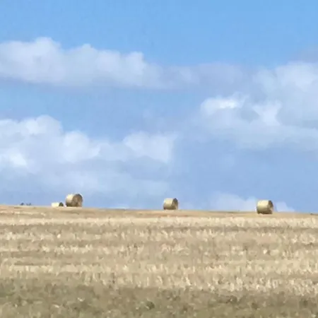 Am Storchennest * Zirkow